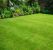 Roanoke Lawn Mowing Services by 2Amigos Landscapes LLC